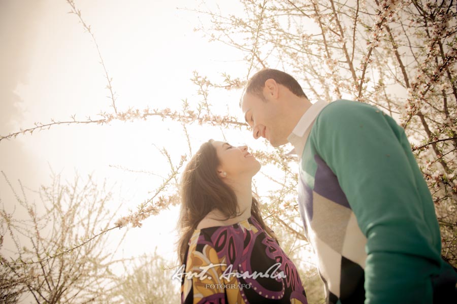 Preboda de Pilar y Santi en Campo de Almendros en Córdoba foto 109