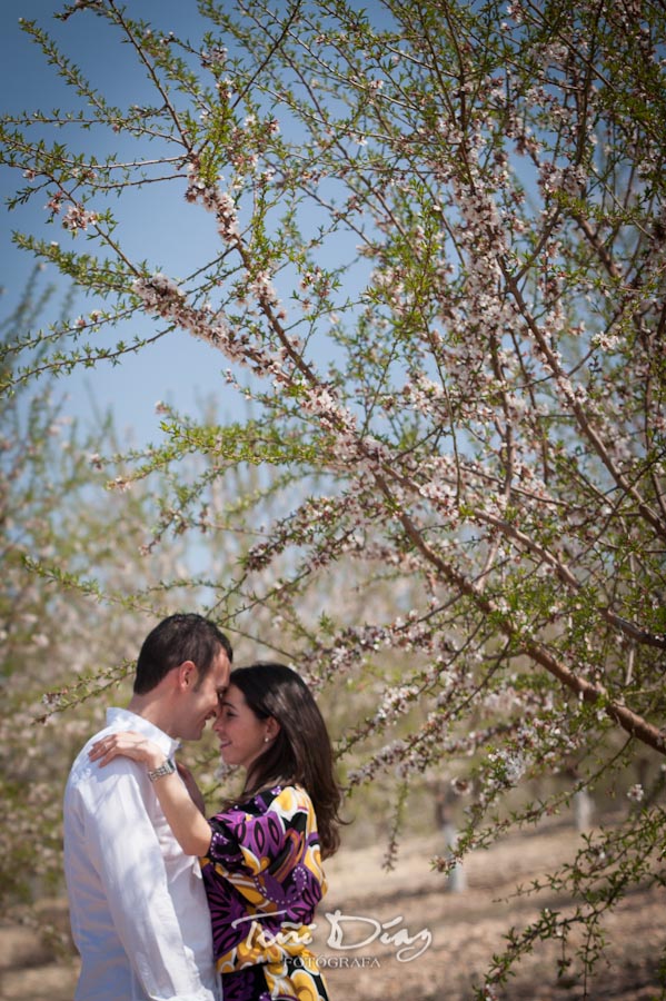 Preboda de Pilar y Santi en Campo de Almendros en Córdoba foto 381