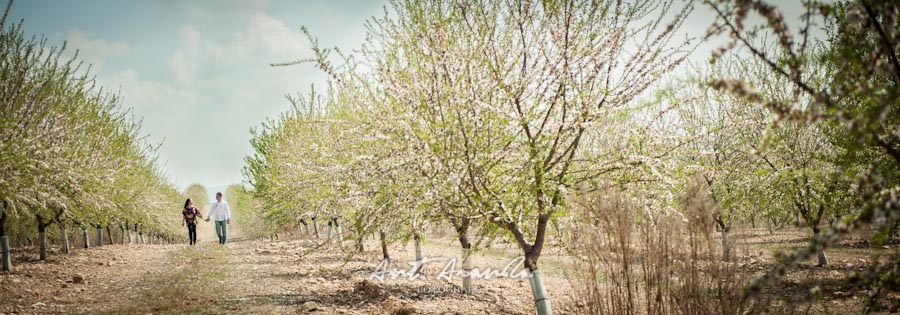 Preboda de Pilar y Santi en Campo de Almendros en Córdoba foto 546