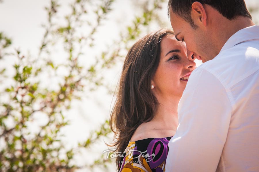 Preboda de Pilar y Santi en Campo de Almendros en Córdoba foto 598