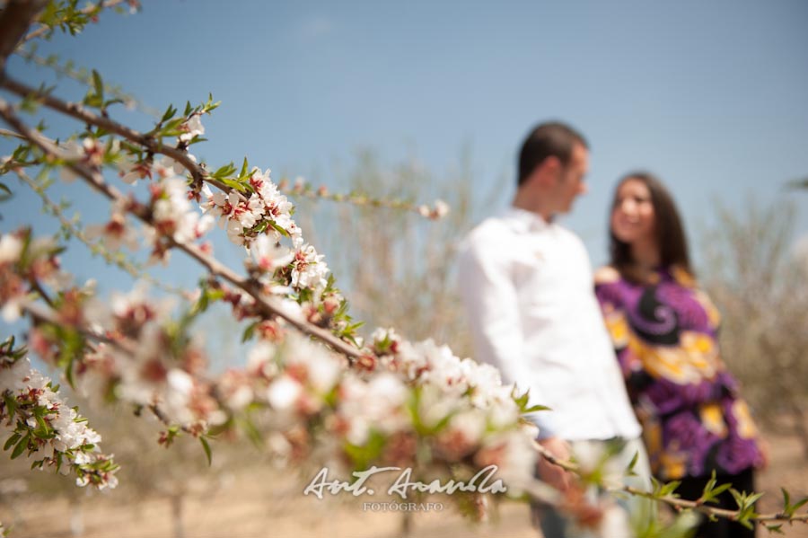 Preboda de Pilar y Santi en Campo de Almendros en Córdoba foto 629