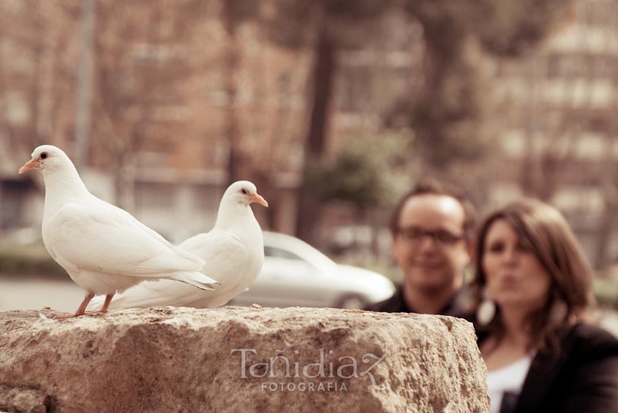 Preboda de Jesús y Graciela Avenida Conde de Vallellano en Córdoba fotografía 367