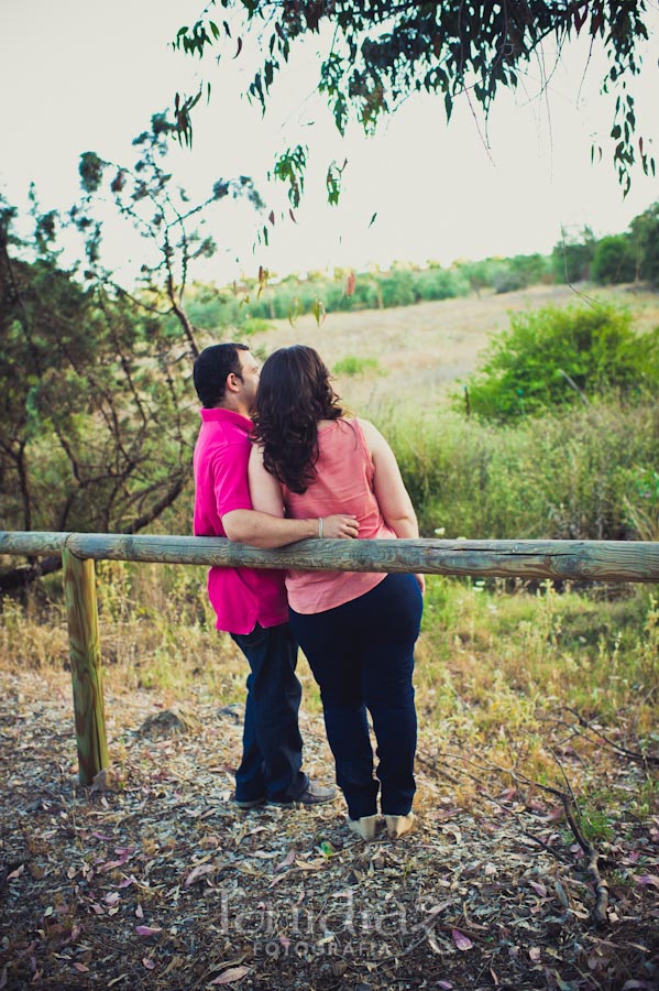 Preboda de Ana y Miguel en Villafranca de Córdoba fotografia 181