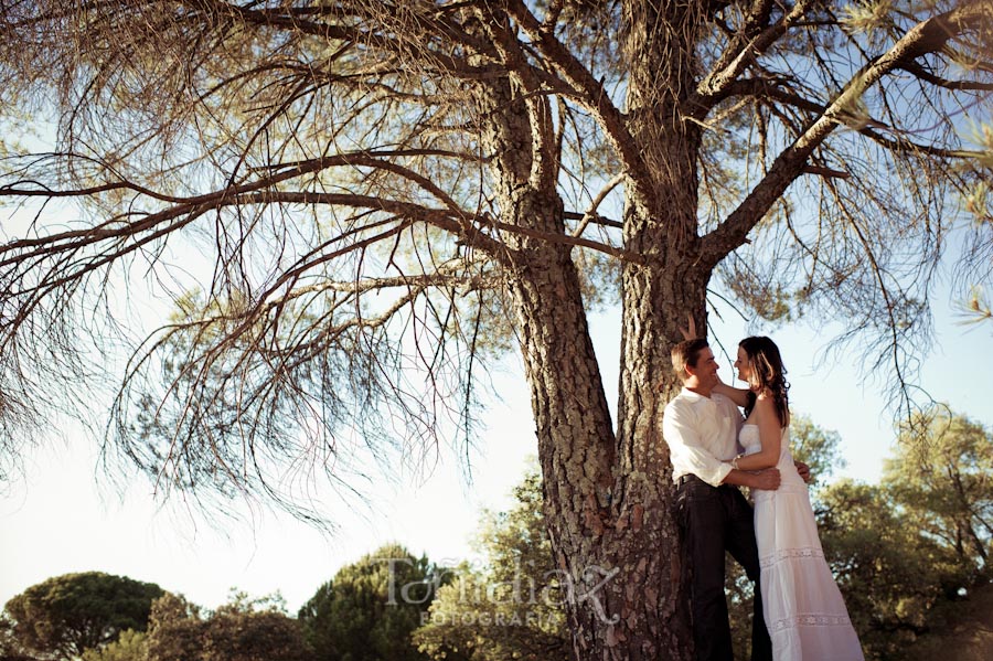 Preboda de Antonio y Auxi en Córdoba fotografía 54