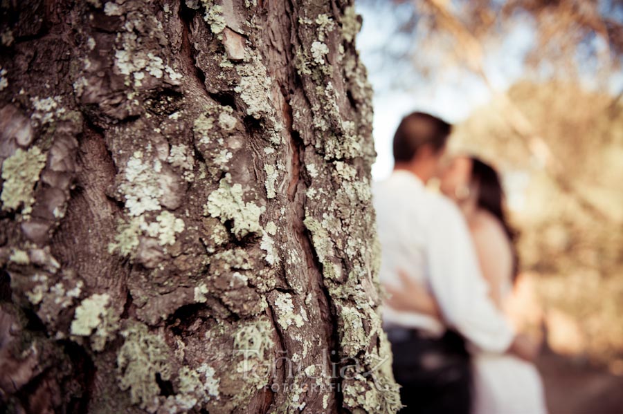 Preboda de Antonio y Auxi en Córdoba fotografía 73