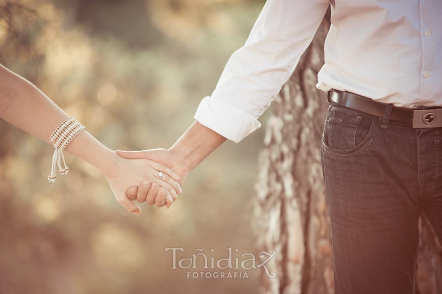 Preboda de Antonio y Auxi en Córdoba fotografía 80