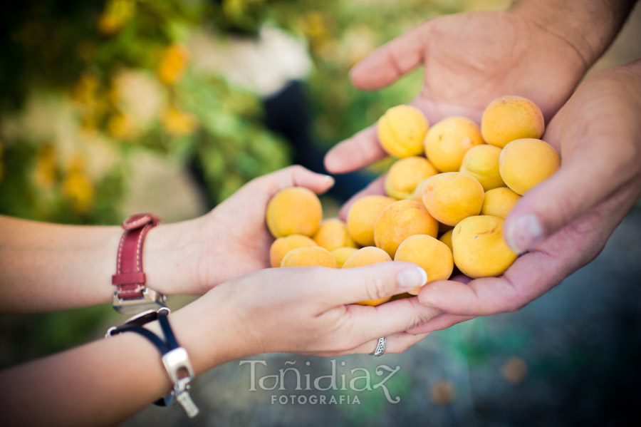 Preboda de Rafael y Maria Dolores en Castro del Rio en Córdoba fotografia 40