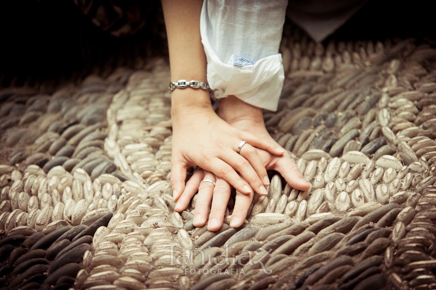 Preboda de Manuel y Teresa en el Palacio de Viana en Córdoba 07