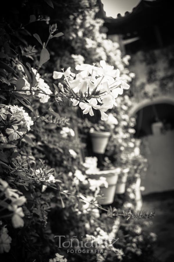 Boda de Carmen y Juan Antonio - Bodegas Campos - © Toñi Díaz | fotografía 113