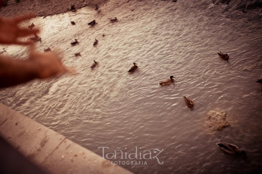 Preboda de Antonio y Maricarmen junto al puente Romano de Córdoba 37