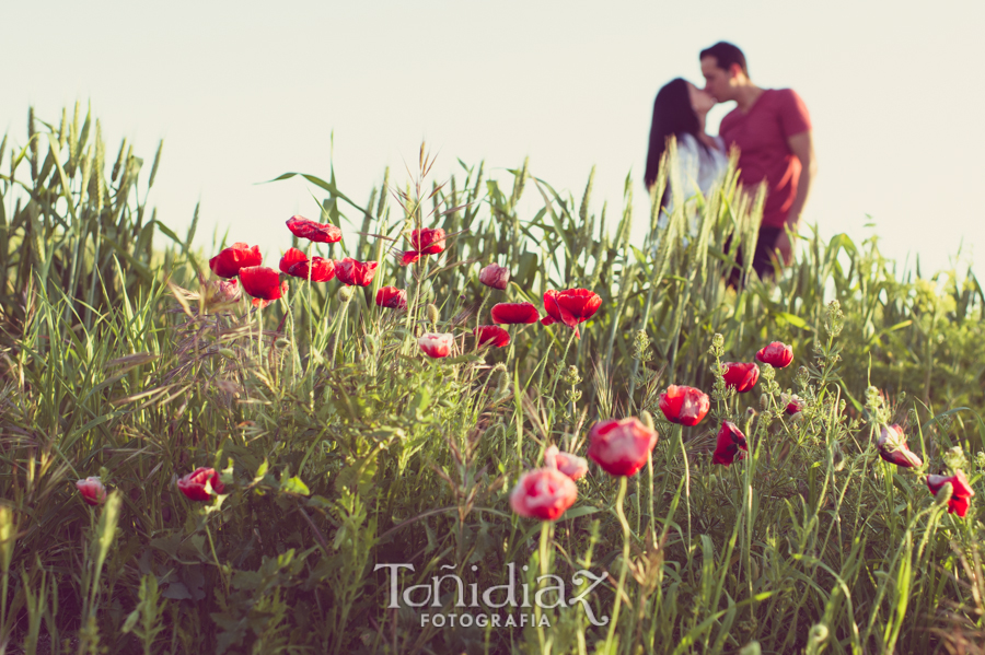 Preboda de David y Emi en el campo - foto 32