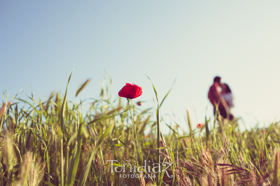 Preboda de David y Emi en el campo - foto 34