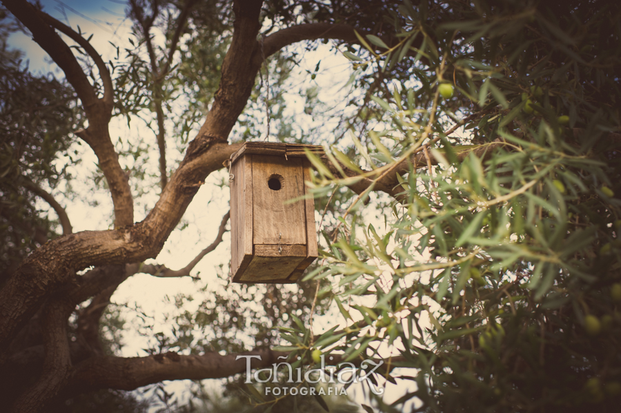 Preboda de Vicente y Maria José en Córdoba 353