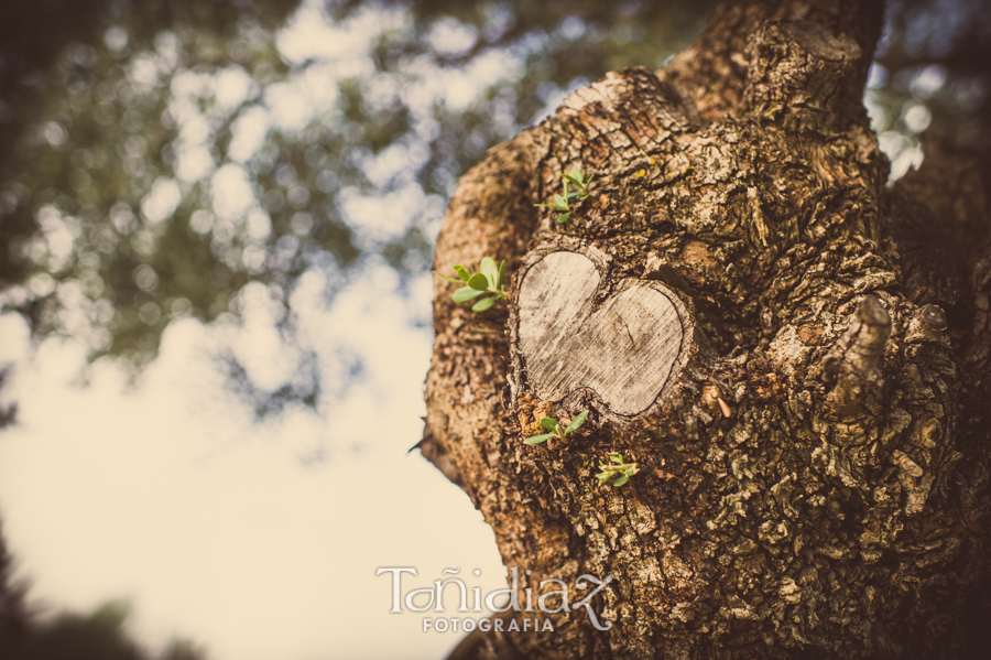 Preboda de Vicente y Maria José en Córdoba 357