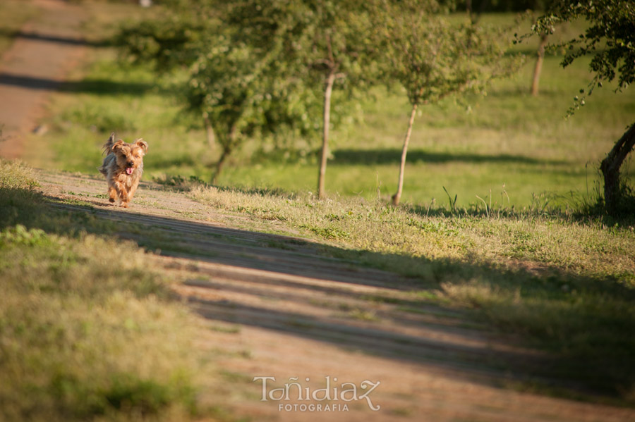 Preboda de Paco y Encarni en Córdoba 0572