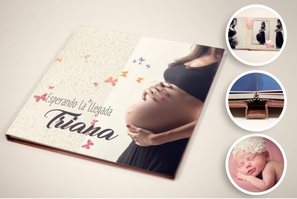Embarazo Libro Digital